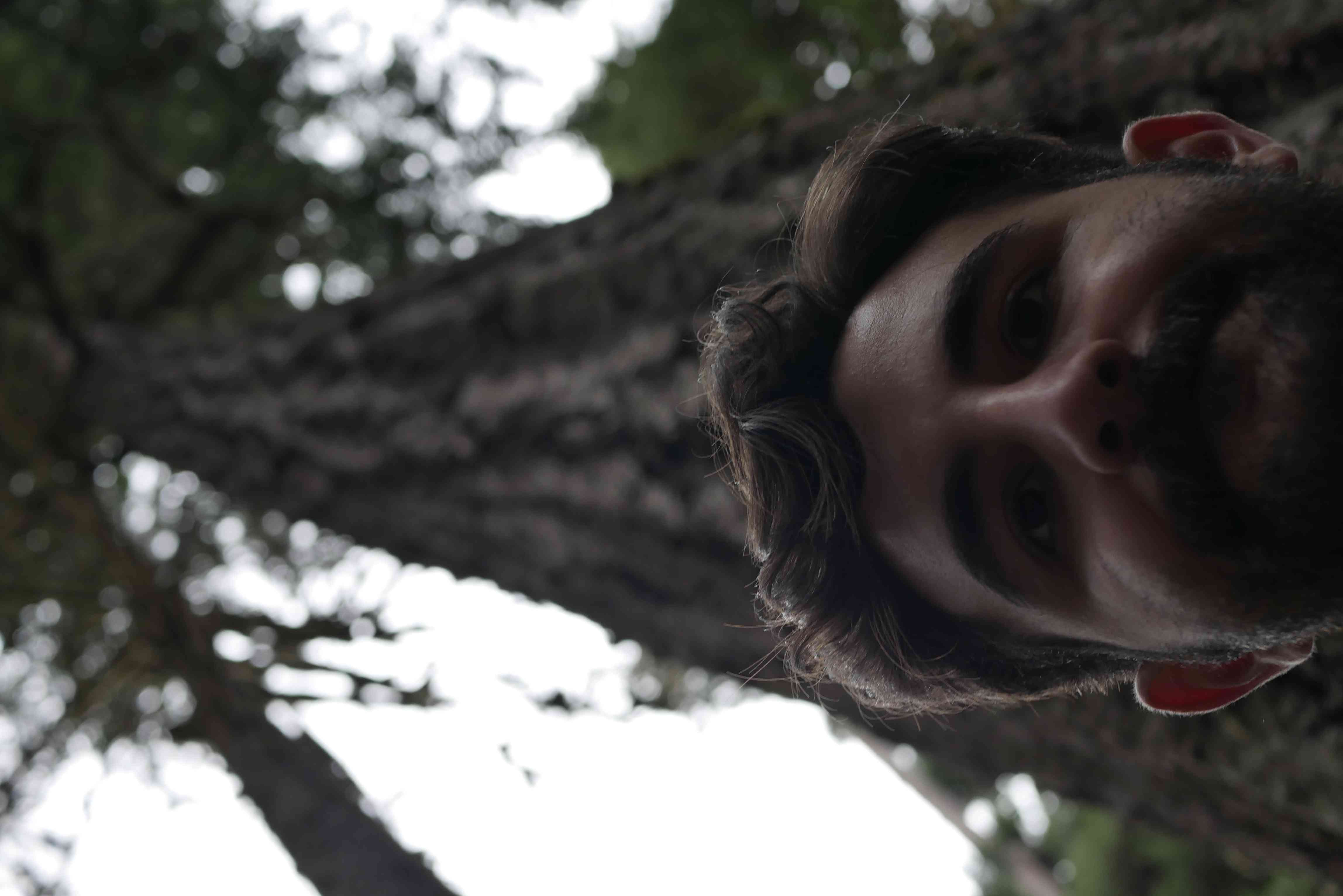 A picture of tony mannino by a tree in the woods.
